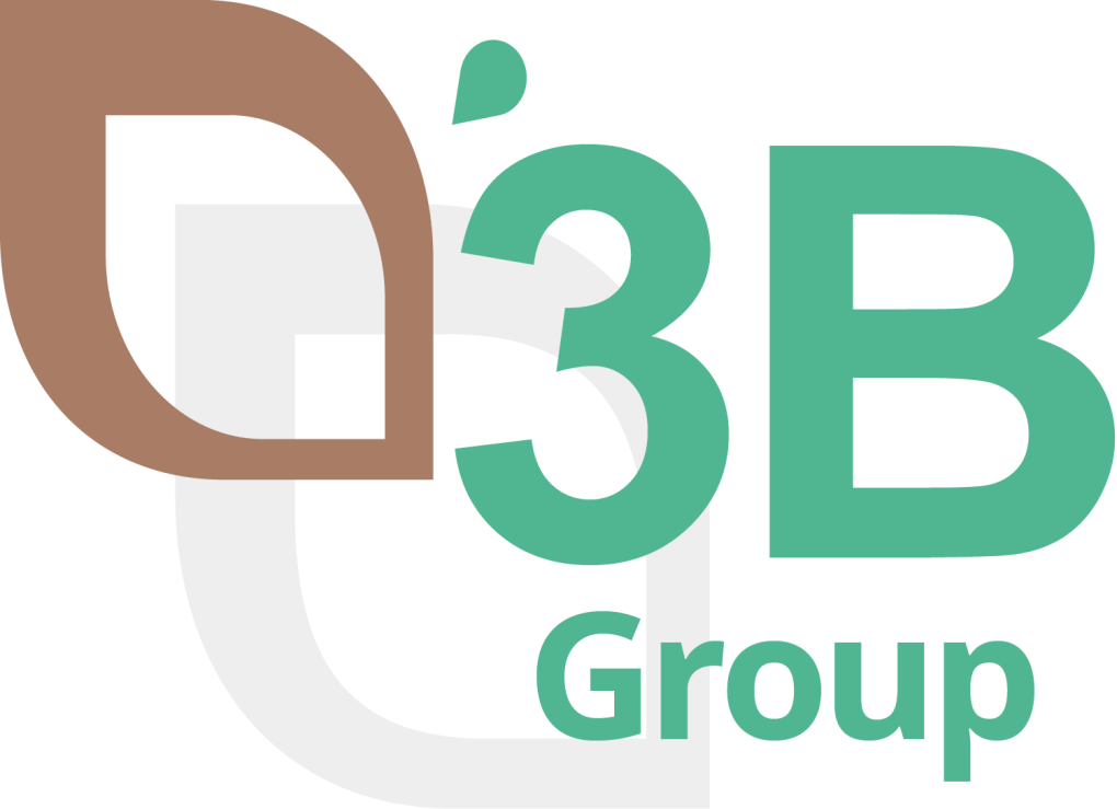 Logo 3B Embalage