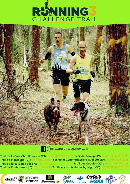 Affiche challenge runing3