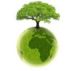 image Arbre sur Terre